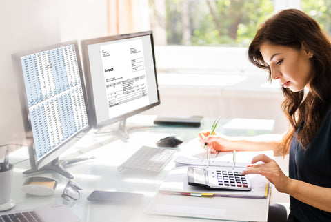 An advisor working on bookkeeping support for businesses.